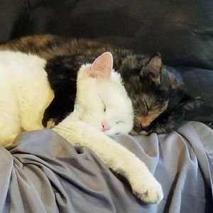 Meet your Posher, Brandy